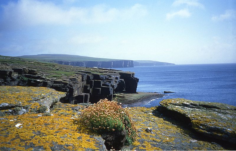 Westray - Cliffs 1
