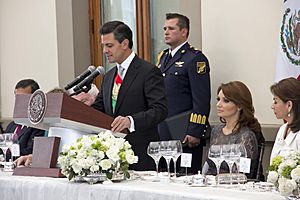 1º de diciembre Enrique Peña Nieto Presidente de México (8238698030)