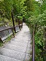 2009-0619-CastleRock-stairs