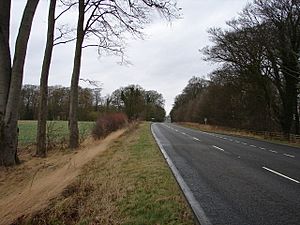 A16 Approaching Walmsgate - geograph.org.uk - 657541.jpg