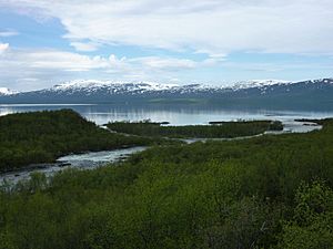 Abiskojåkka and Torneträsk spring