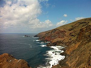 La Palma, N-W: cliffs of Garafía's municipality and the Callejoncito beach
