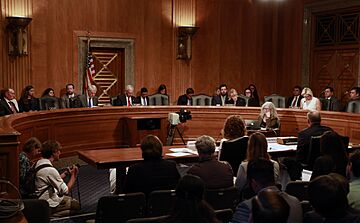 Acting Commissioner Mark A. Morgan testifies before the Senate (48417301622)