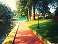 Alleppey canal 3