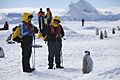 Aptenodytes forsteri -Snow Hill Island, Antarctica -juvenile with people-8