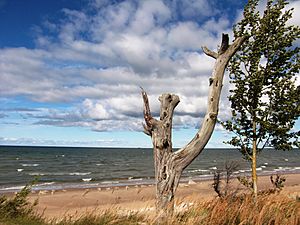 Baltijos jūra Kolkos rage