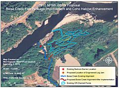 Boise Creek Fish Passage Proposal Feb 2010