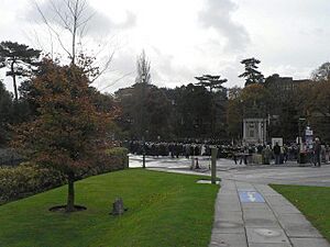 Bournemouth, Unitary Authority tree - geograph.org.uk - 1038887