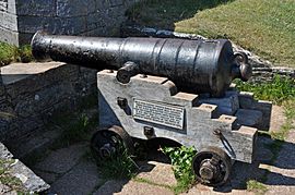 Cannon at Berry Head