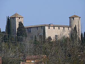 Castell dels Sarriera a Palau S'acosta (Girona).JPG