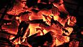 Charbon - charcoal burning (3106924114)