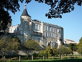 Chateau de Jonzac