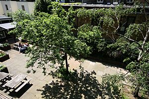 Connaught Hall courtyard