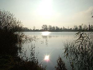 Cotswold Water Park - geograph.org.uk - 22175