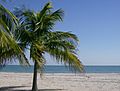 Crandon Park beach, FL