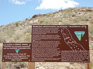 Discovery Site