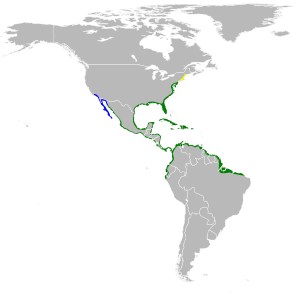 Egretta tricolor map.svg