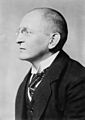 Erich Koch-Weser circa 1920 (cropped)