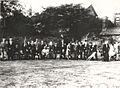 First Staffordshire Bull Terrier show, 1935