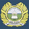 Flag of Oak Bluffs, Massachusetts