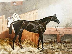 Formosa (horse)