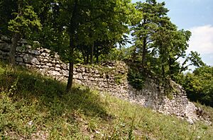 Frohberg-Suedmauer