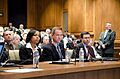 Gun Regulation Testimony (8536739631)
