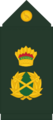 Guyana Defence Force (GDF) Commander in Chief rank insignia