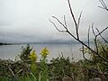 Hecla Island and Provincial Park in Lake Winnipeg Manitoba (11)