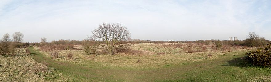 Panorama from 4 photos in Hounslow Heath, west London.