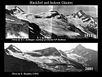 Jackson and Blackfoot Glaciers 1914 to 2001