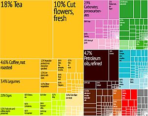 Mapa de árboles de exportación de Kenia