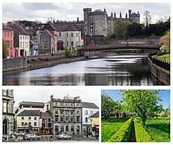 Clockwise from top" Kilkenny Castle and the River Nore; Butler Gardens; central Kilkenny