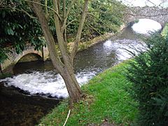 Letheringsett Watermill and the River Glaven 22nd Oct 2007 (2)