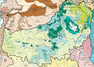 Level IV ecoregions, Blue Mountains