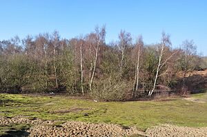 Looking into the Gravel Pit - geograph.org.uk - 1714253