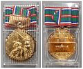 Médaille d’or officielle lors de la 60ème rencontre sportive internationale d'Okayama