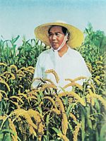 Mao Zedong rice field