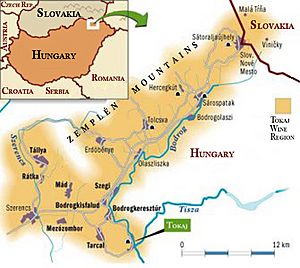 Map of Tokaj Hegyalja