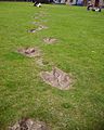 Megalosaur footprints