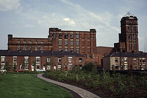 Mona Mill - geograph.org.uk - 905818
