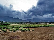 Monsoon clouds near Nagercoil