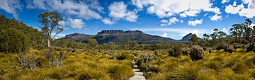 Mount Olympus, Lake St Clair national park, Tasmania, Australia.jpg