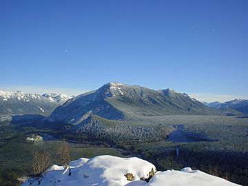 Mount Washington Cascades.jpg