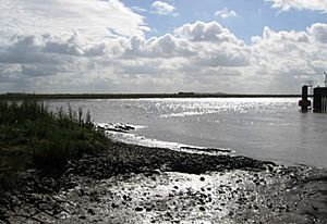 Mudflats at Combwich