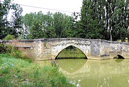Pavie - Vieux Pont -1