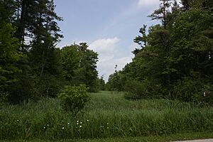 Point Beach Ridges