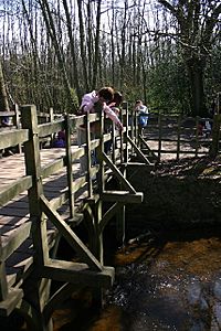 Pooh sticks bridge