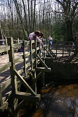 Pooh sticks bridge