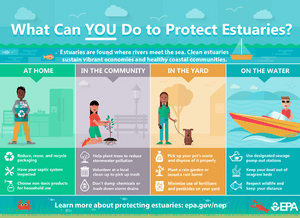 Protecting Estuaries - EPA 2017